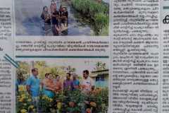 2_Mango-Saplings-Planting-on-28.08.2022_Newspaper-clipping